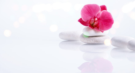 Wellness, relax, massage and wellbeing concept. Spa stones and orchid flower over white background. Copy space