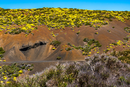 Mikroklima Images – Browse 226 Stock Photos, Vectors, and Video | Adobe ...