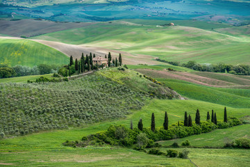 The rolling hills