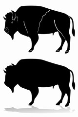 isolated silhouette of buffalo , vector drawing