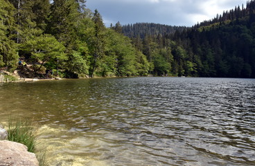 Feldsee im Schwarzwald im Frühling