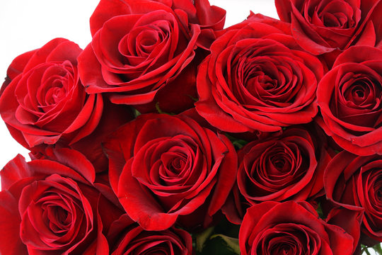 fresh red roses in a bouquet as background