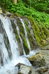Fototapeta na wymiar green waterfall in the woods