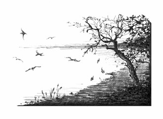Autumn landscape with trees, lake, fallen dry leaves and birds flying. drawn with black pen