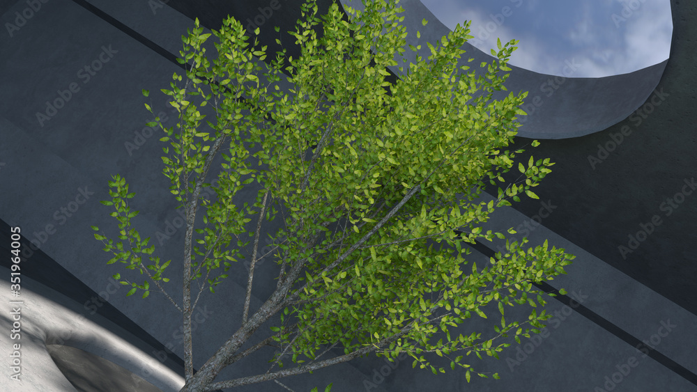 Poster 3d render. empty concrete room with top sunlight and tree in center.
