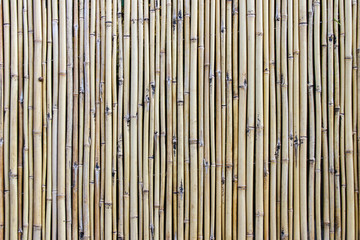 texture of bamboo