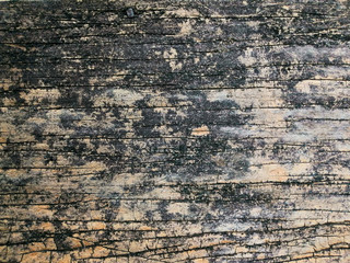 Close up of Old wooden board texture background.
