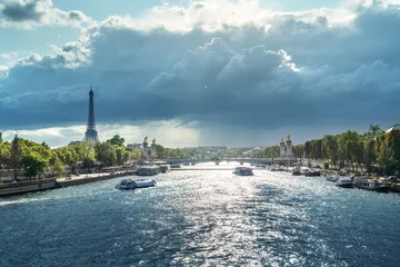Photo sur Plexiglas Pont Alexandre III Alexander III bridge and Eiffel tower, Paris, France