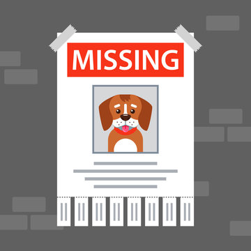paper ad on the wall about the missing dog. flat vector illustration.