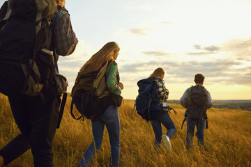 Group of friends trekking with backpacks walking in the forest .
