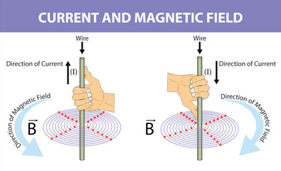Physics - fleming's right hand rule. magnetic field. direction of current. direction of force. current by direction of magnetic field and force. Fleming's Right Rule infographic