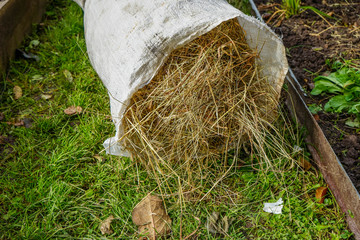 hay rake in the garden