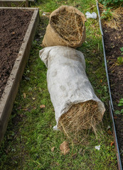 hay rake in the garden