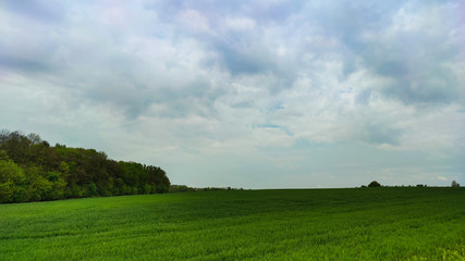 Agriculture field landscape in the spring season