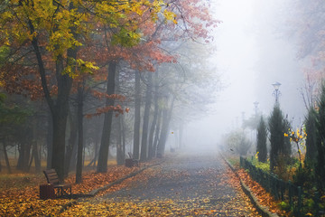 Thick fog in the autumn park, a path in the park