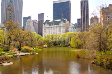 Fototapeta na wymiar Spring. Central Park, New York City.