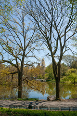 Central Park at spring. Manhattan