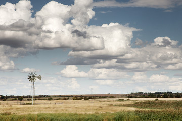 landscape in the countryside of essex