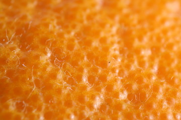 close up of orange fruit surface, macro photography, orange texture