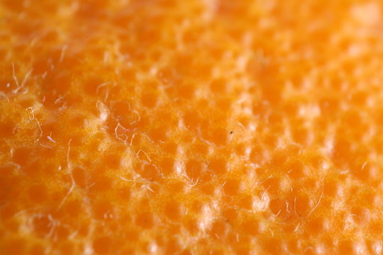 Close Up Of Orange Fruit Surface, Macro Photography, Orange Texture