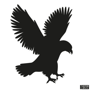 Black Silhouette of a beautiful eagle vector
