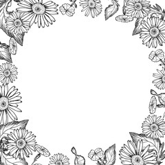 Obraz premium simple camomile pattern, leaves and herbs on a white background, holiday card, minimalism style photo frame