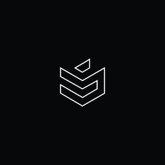 Professional Innovative Initial MS logo and SM logo. Letter MS SM Minimal elegant Monogram. Premium Business Artistic Alphabet symbol and sign
