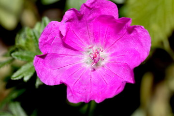 Aux d&eacute;tails pr&egrave;s !