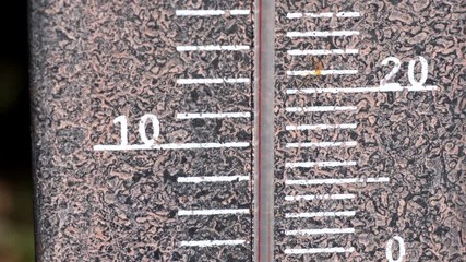 Rustic outdoor weather thermometer measuring/record an extreme heatwave, close up of vintage garden thermometer showing a very high temperature almost 120 Fahrenheit, 50 degrees celsius