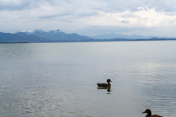 Chiemsee im Januar