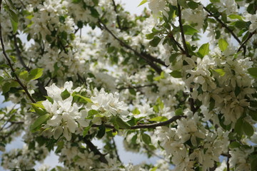 Frühling in Stuttgart