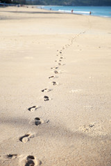 Footprints on the light sand of the sea beach