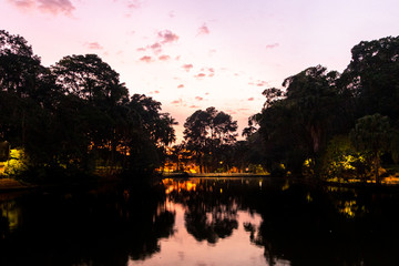 sunrise in a park with a pink sky and reflections in the water of the sky