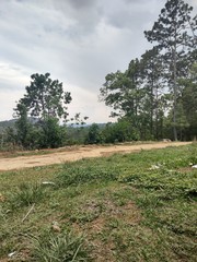 Obraz premium path in the forest