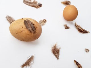 Homemade chicken eggs with brown chicken feathers.