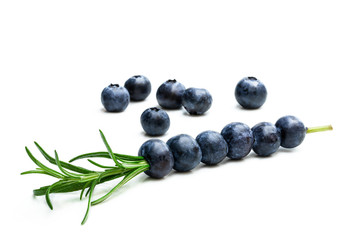 Rosemary stick with blueberry for cocktail isolated on white