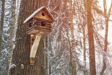 Fancy bird house in forest