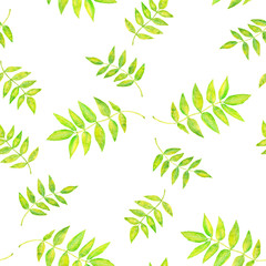 Common ash green leaves, hand painted watercolor illustration seamless pattern design on white