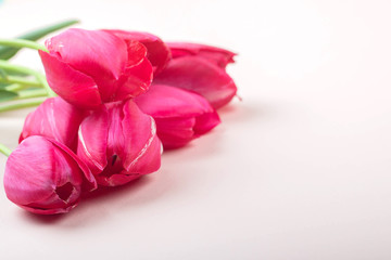 Beautiful red tulips lie on a light pink background, top view