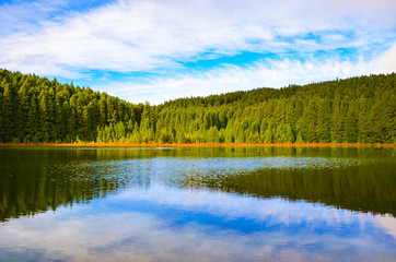 Amazing Canary's Lagoon Lake, in Portuguese Lagoa do Canario, in Azores Islands, Portugal. A beautiful lake surrounded by a green forest. Water reflection. Copy space, a place for text.