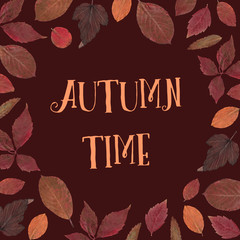 Sticker with the words: "Autumn time". Square frame with a circle inside. Real dry autumn leaves on a maroon background.