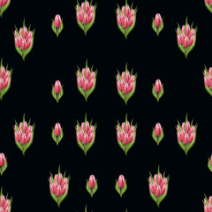 Bouquets of pink tulips on a black background. Watercolor illustration in the form of a pattern.