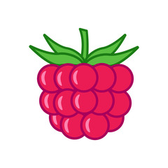 Raspberry with leafs on white background. Berry icon on flat style. Vector Illustration.