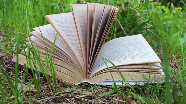 A thick old book lies in the grass and the wind turns its pages.