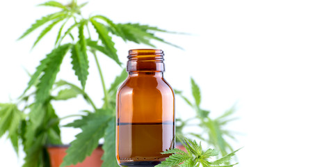 Medical, chemical theme background with cannabis leaves, oil bottle and laboratory glass flasks behind on a white.
