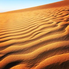 Ripples in the sand dunes of Dubai with filter