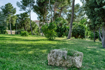 Obraz premium Parque de Valencia España