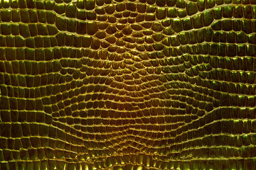 golden green iridescent skin of a snake, alligator or python