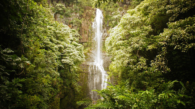 Scenic View Of Waterfall Against Trees © navin mahabir/EyeEm