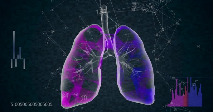 Rotating 360 low polygonal lungs 3D model on black background with animated numbers. 4k